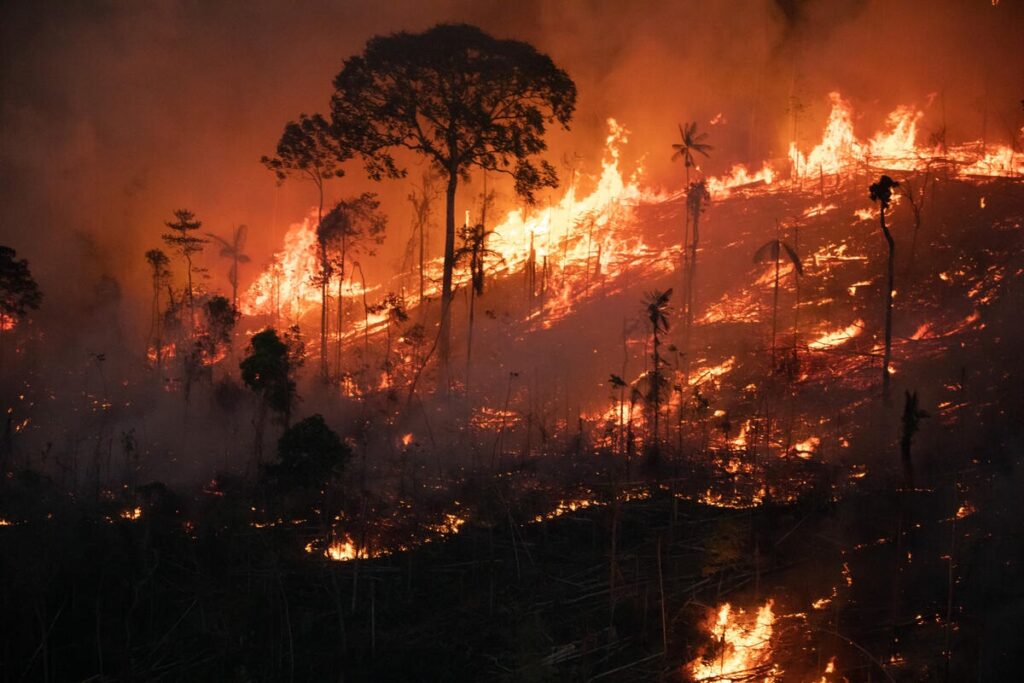 Firefighters succeeded on Wednesday in reducing the extent of a massive wildfire that blazed for two days and destroyed 20 per cent of a forest in the Brazilian capital,