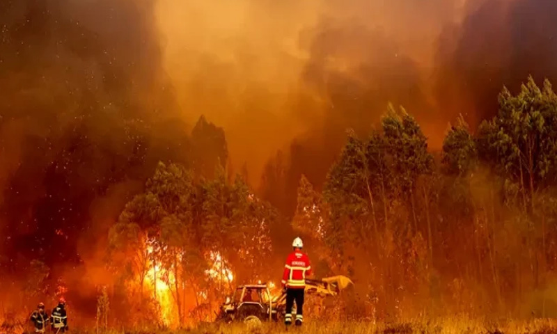 Portuges firefighters