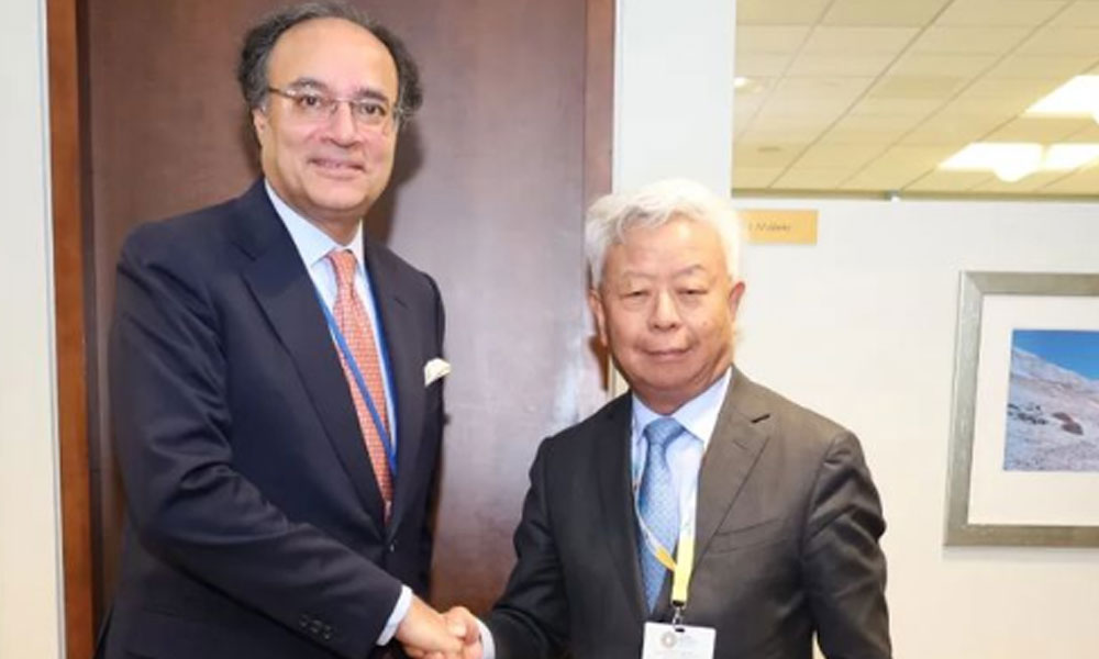 Finance Minister Muhammad Aurangzeb