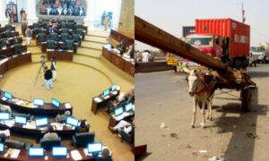 KP animal rights bill