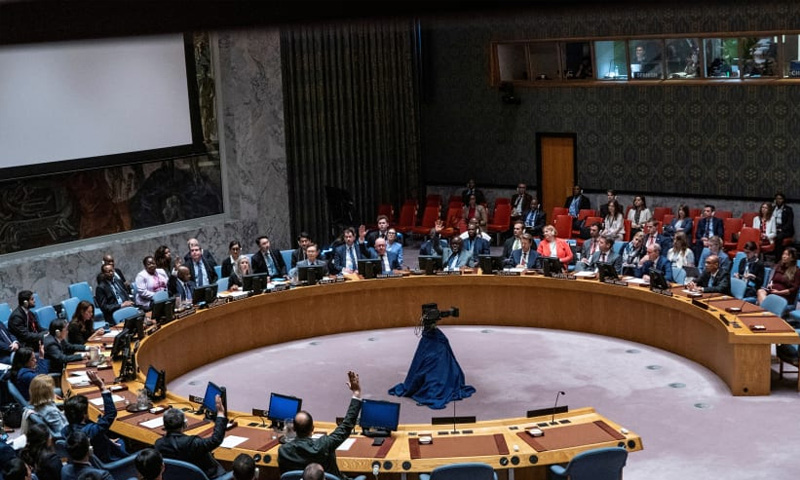 UN Security Council