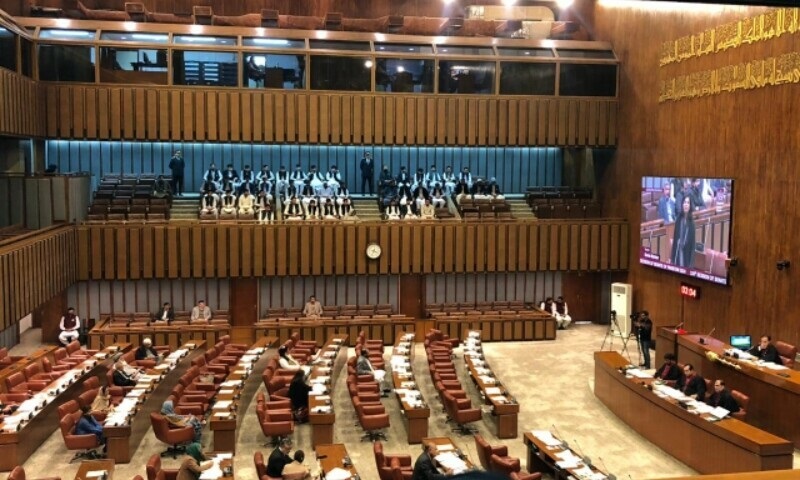 The Senate enacted the Establishment of Special Court (Overseas Pakistan Property) Act, 2024 to resolve property dispute for Pakistanis living abroad.