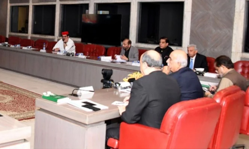 constitutional draft