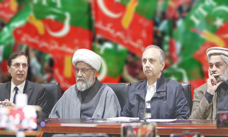 special parliamentary committee 