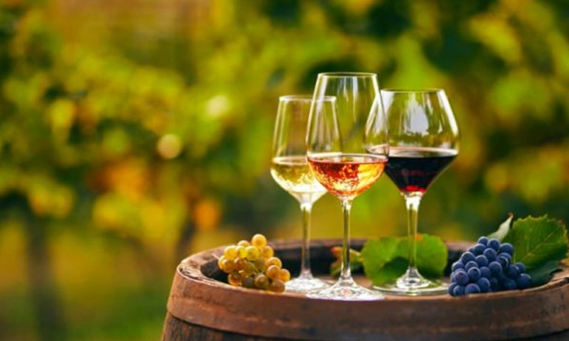 France cuts wine output