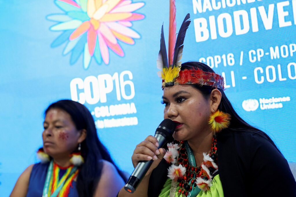 : Countries at the UN COP16 nature talks in Colombia on Saturday agreed to how companies in sectors such as pharmaceuticals and cosmetics should pay for the use of genetic information drawn from biodiversity in their research and development.