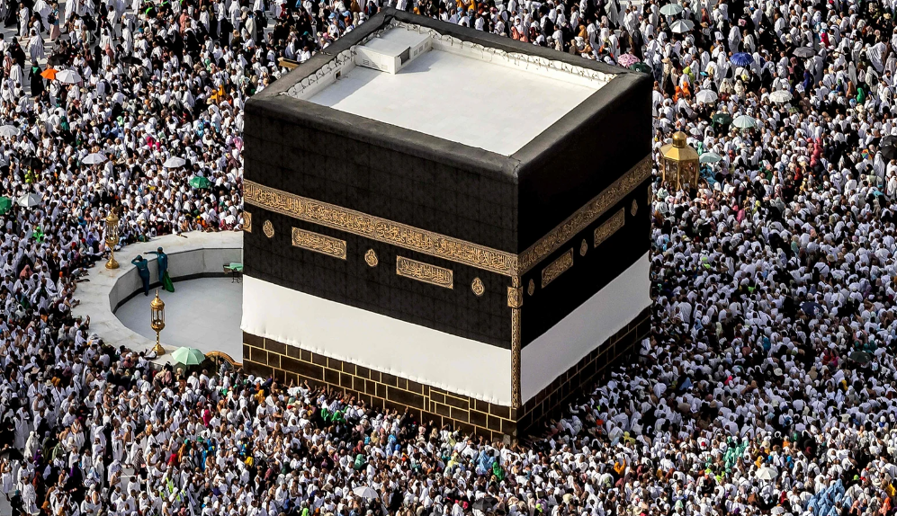 expenses and details