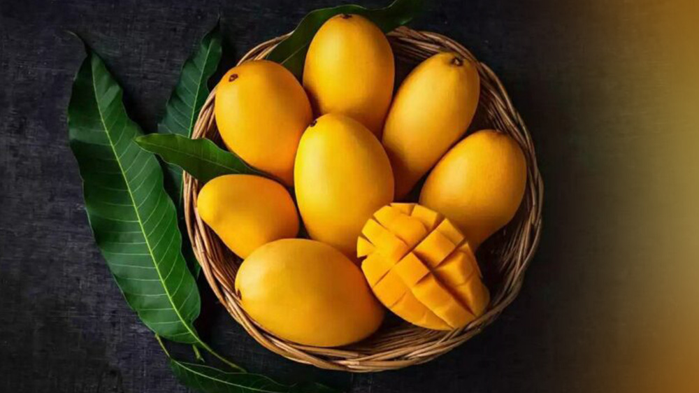 mangoes exports