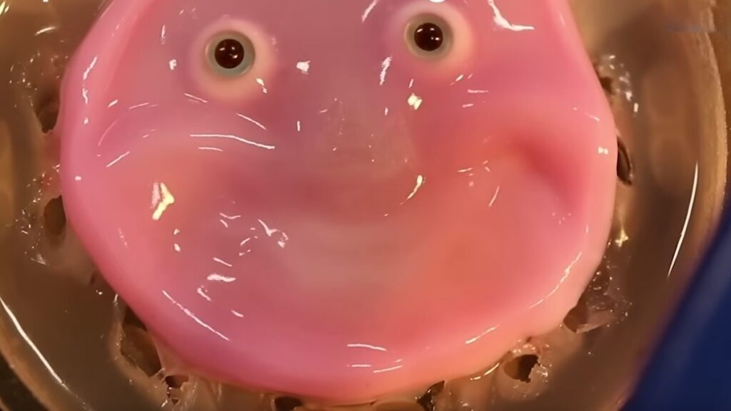 In some bizarre inventive scheme right out of a Monty Python sketch, Japanese scientists decided to do things a little – well, differently.