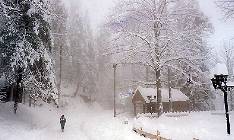 Murree snowfall