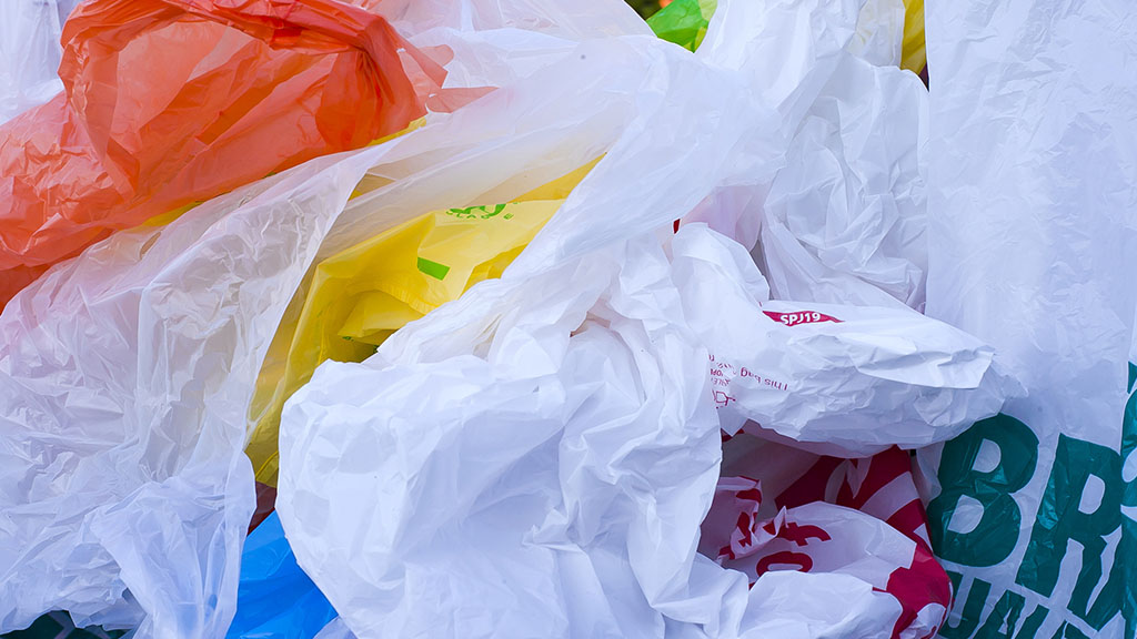 Plastic bags banned in Pindi