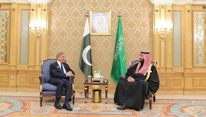 Prime Minister Shehbaz Sharif met with the Saudi Arabian Crown Prince, Muhammad bin Salman, on the sides of the One Water Summit.