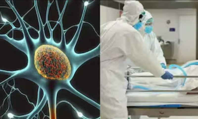 India Guillain-Barre syndrome