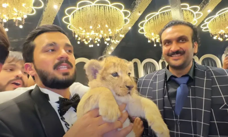 Rajab Butt receiving Lion cub