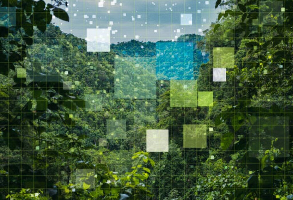 Governments need to start acting over the environmental risks, including potential water shortages, posed by the development of AI