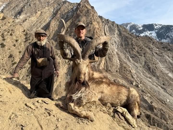 markhor hunting