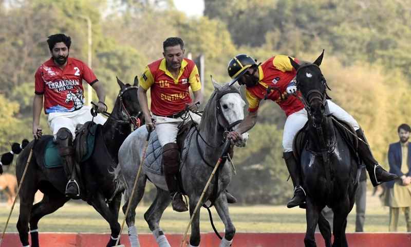 Chitral polo team