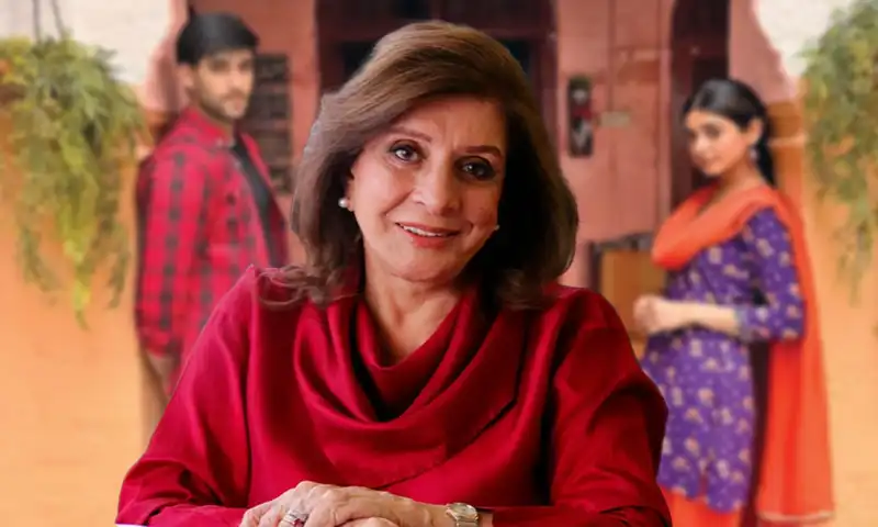 Tan Man Neelo Neel producer Sultana Siddiqui