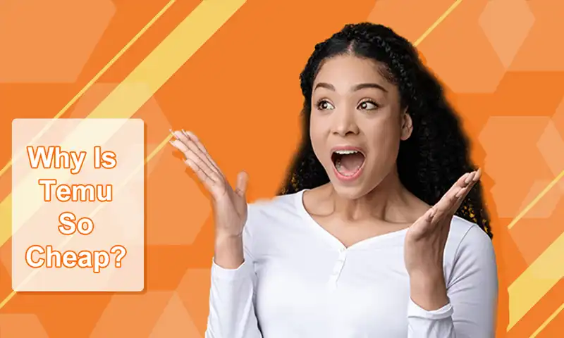 Chinese e-commerce platform Temu