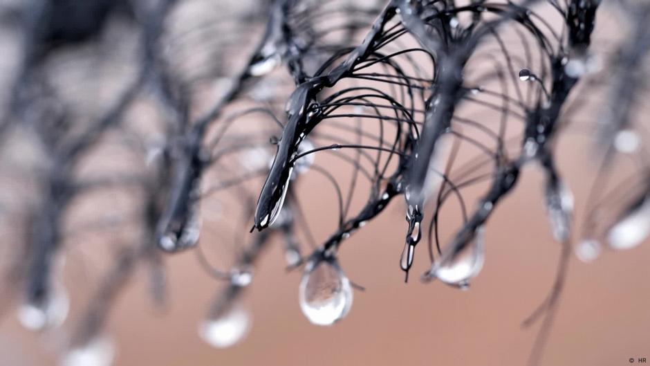 Fog is a cheap and abundant source of fresh water, especially in remote dry regions. And it also has great potential for cities.