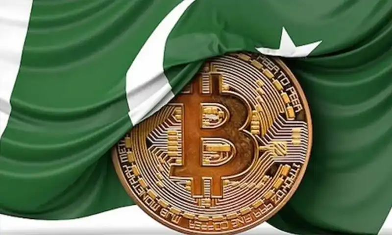 Pakistan Crypto Council launched