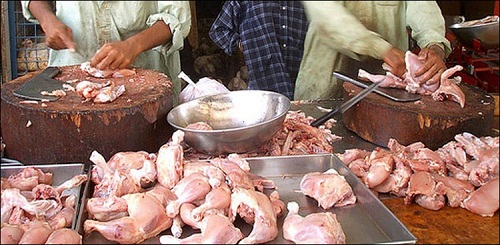 Chicken prices in Islamabad surge to Rs 1000 per kg