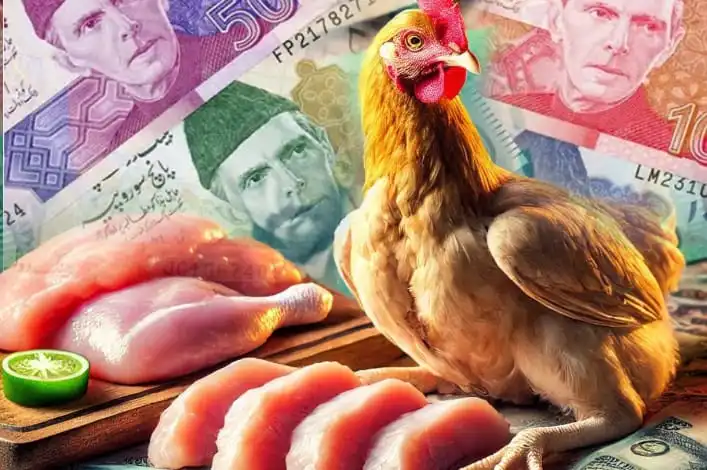 chicken prices uncontrollable in Lahore