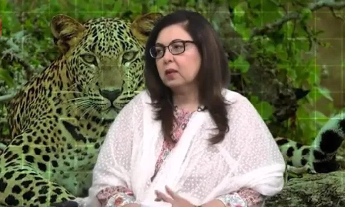 Islamabad Wildlife Management Board chairperson Rina Saeed