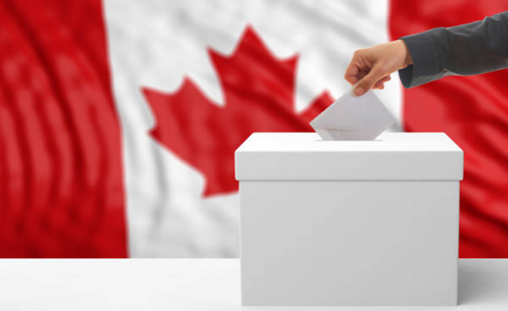 More than fifty candidates of Pakistani origin are contesting the 2025 federal election in Canada, held on Monday.
