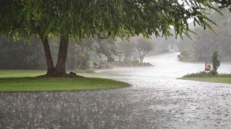 heavy rainstorm, gusty winds predicted