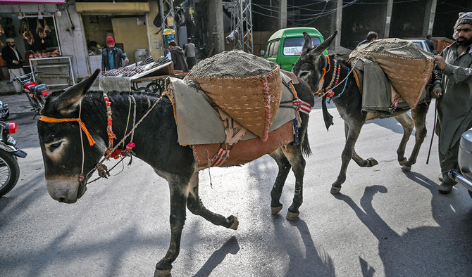 donkey hides smuggling bid foiled