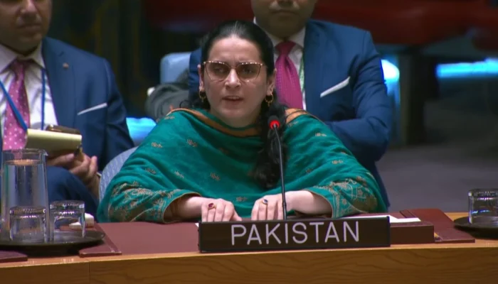 Saima Saleem UNSC