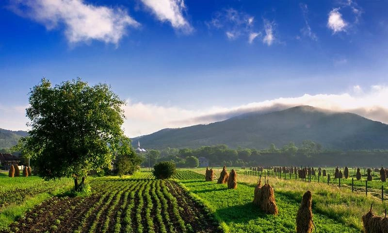 EU farming subsidies