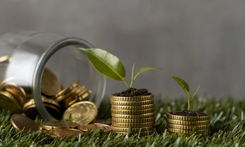 environmental budget