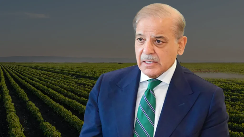 PM Shehbaz on agriculture loans