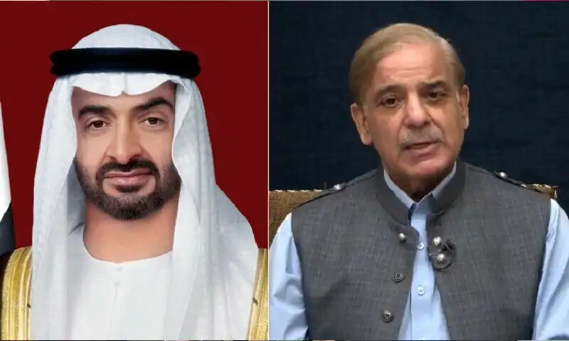 uae president and shehbaz sharif