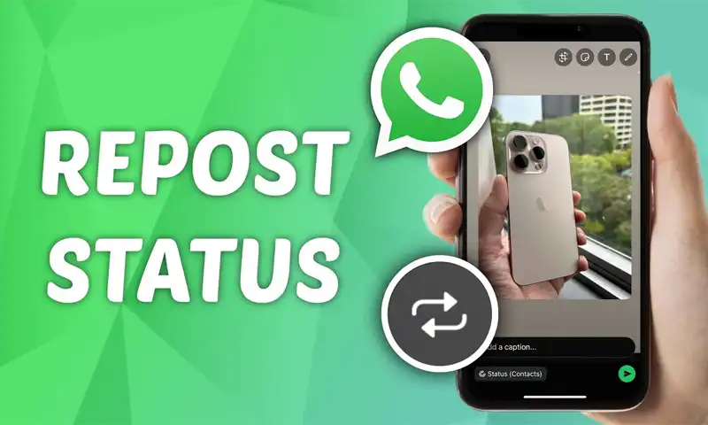 whatsapp status reshare