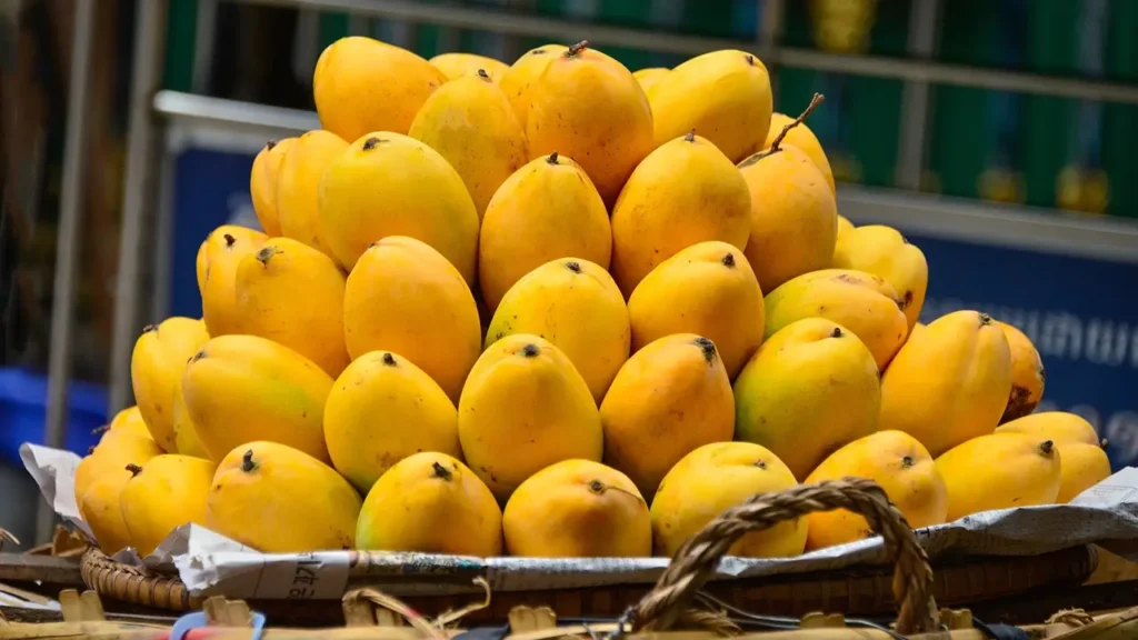 Pakistan mango exports