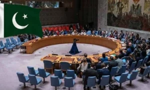 vice chair of UNSC Counter-Terrorism Committee