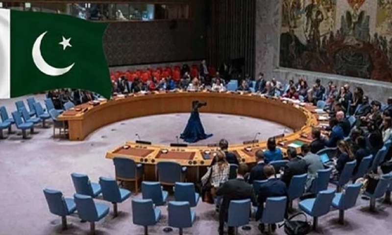 vice chair of UNSC Counter-Terrorism Committee