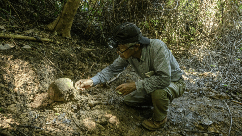 Trekking through Okinawa's humid jungle, Takamatsu Gushiken reached a slope where World War II human remains lay forgotten.