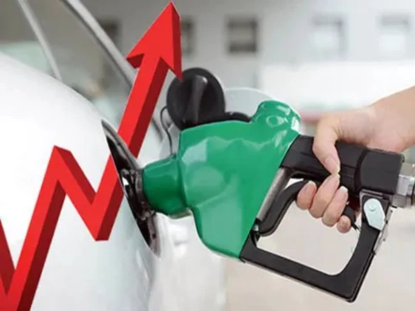 petroleum prices increased for July