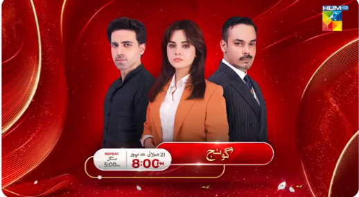 Goonj Drama Hum TV
