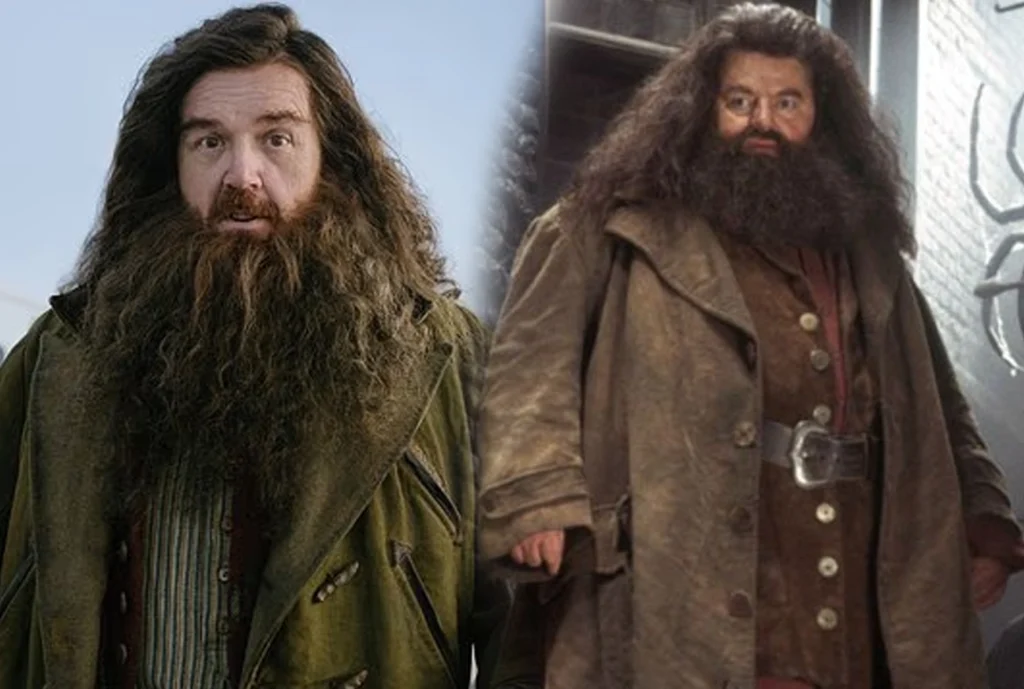 new Harry Potter HBO series