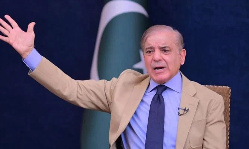 Shehbaz Sharif overseas Pakistanis