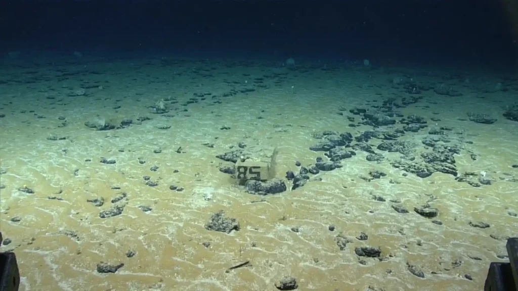 Scientists warn about the uncertainly surrounding the possibility of restoring sea floor ecosystems after deep-sea mining.