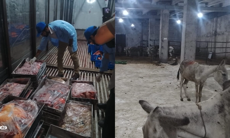 donkey meat in Islamabad