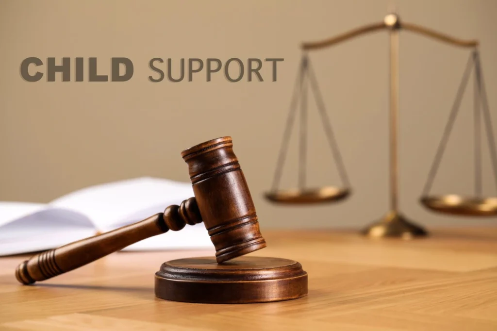 Child Support Supreme Court