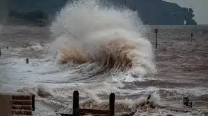 Tsunami waves reach US