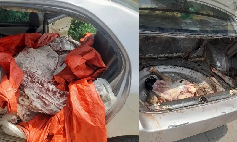 hazardous meat to Islamabad